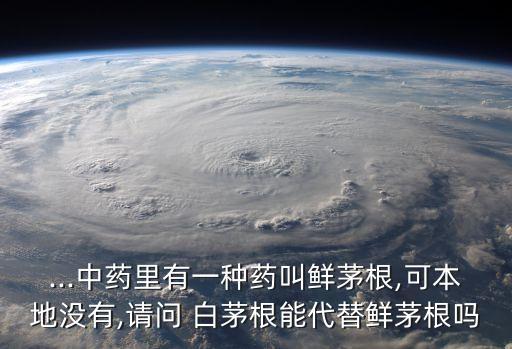 什么農(nóng)藥可以除白茅根草,白茅根上面的草長什么樣?