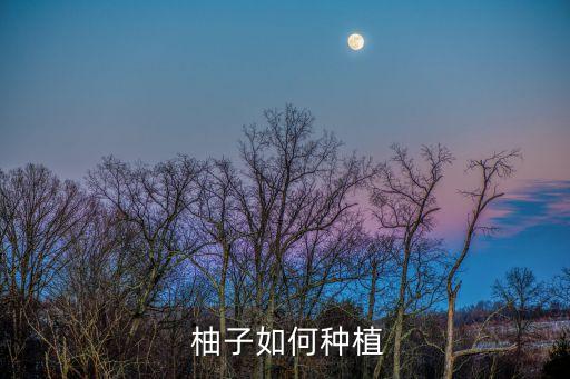 柚子采摘后要用什么農(nóng)藥,柚子什么時間采摘