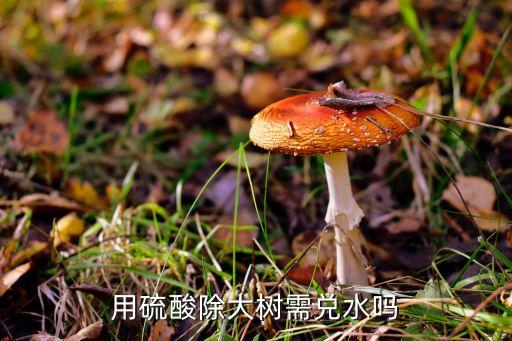 酸梅樹用什么農藥噴樹,橘子樹噴什么農藥好