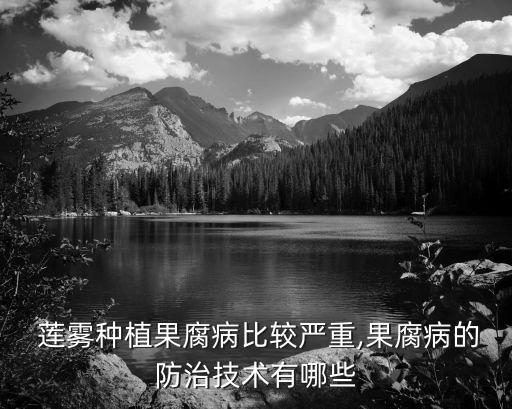 蓮霧種植果腐病比較嚴重,果腐病的防治技術有哪些
