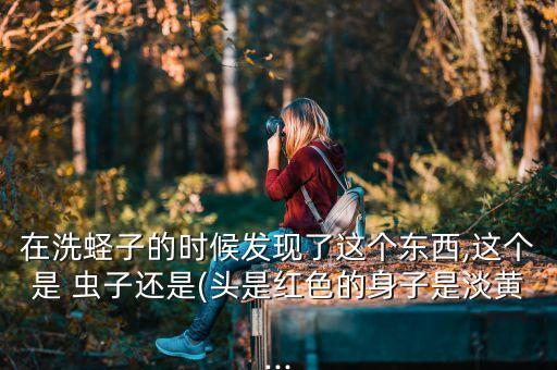 在洗蟶子的時候發(fā)現(xiàn)了這個東西,這個是 蟲子還是(頭是紅色的身子是淡黃...