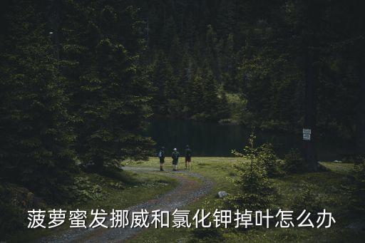 菠蘿蜜發挪威和氯化鉀掉葉怎么辦