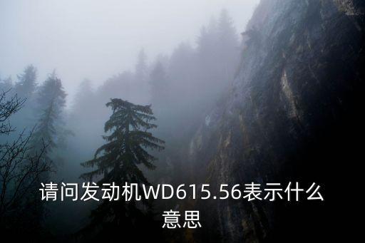 請問發動機WD615.56表示什么意思