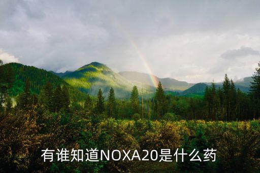 泰國有什么農藥廠,辦農藥廠證需要什么手續