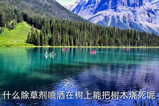 什么農藥把大樹死掉,用啥農藥可以讓大樹死掉