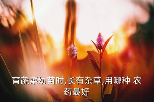 育蔬菜幼苗時,長有雜草,用哪種 農藥最好