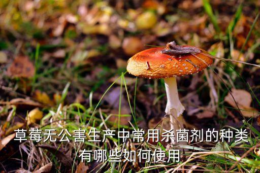 草莓使用什么做的農藥,草莓施什么肥