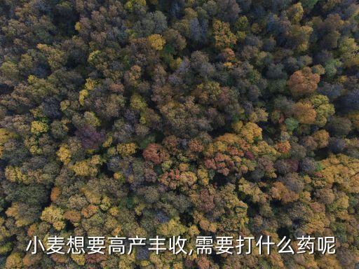 小麥噴施農藥用什么肥,噴施農藥屬于什么防治