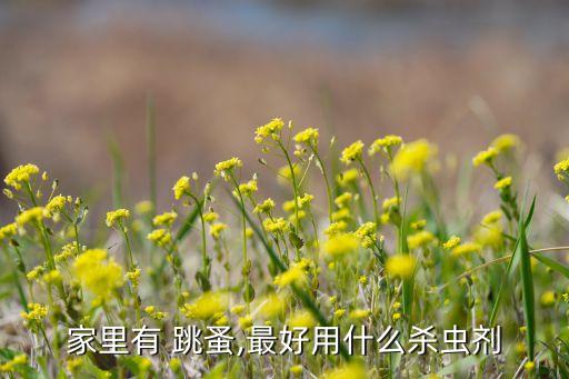 家里有 跳蚤,最好用什么殺蟲劑