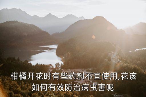 柑橘果皮花噴什么農藥