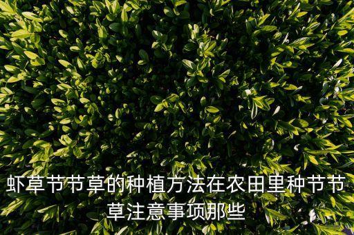 蝦子草用什么農藥,四川蝦子草叫什么