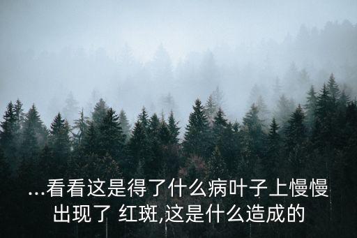 植物紅斑病用什么農藥,植物枯萎病用什么農藥?