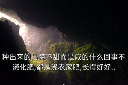 為什么荸薺有農藥味,荸薺為什么有餿味