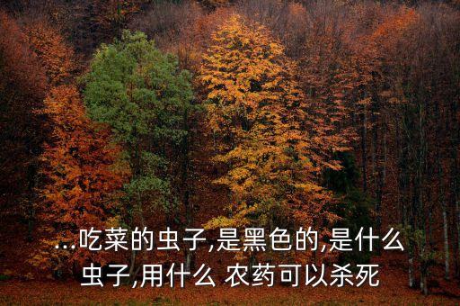 什么農藥能治貪夜蟲,3911農藥主要治什么