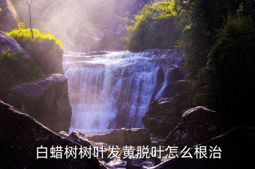 什么農藥能殺白蠟樹,白蠟樹最怕什么農藥