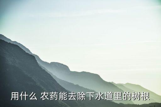 用什么 農藥能去除下水道里的樹根