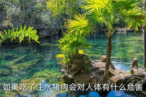 如果吃了注水豬肉會對人體有什么危害