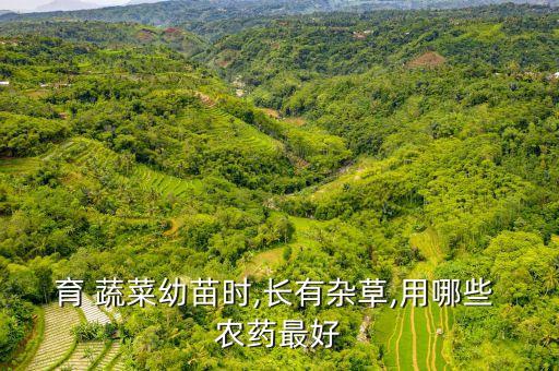 育 蔬菜幼苗時(shí),長(zhǎng)有雜草,用哪些 農(nóng)藥最好