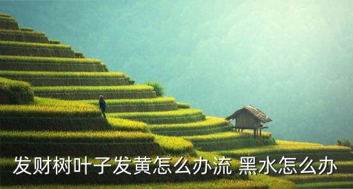 黑水是什么農藥,人死前吐出來的黑水是什么