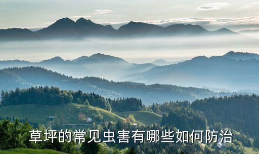 草坪使用什么農(nóng)藥,草坪一般打什么農(nóng)藥