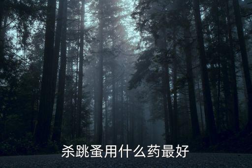 殺跳蚤用什么藥最好