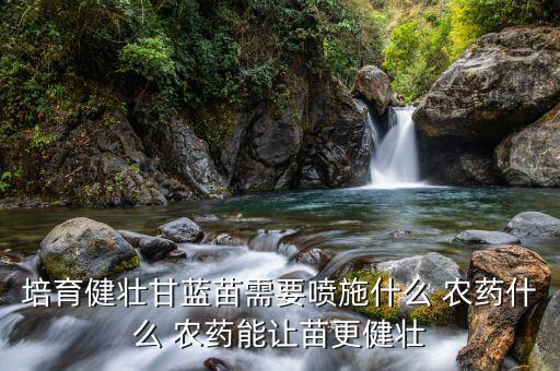 培育健壯甘藍苗需要噴施什么 農(nóng)藥什么 農(nóng)藥能讓苗更健壯