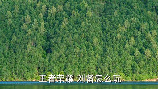 王者農藥劉備銘文搭配什么,王者榮耀劉備最強銘文搭配