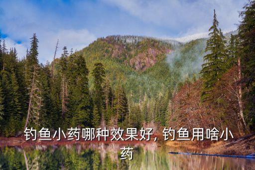  釣魚小藥哪種效果好, 釣魚用啥小藥