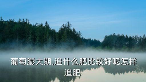 葡萄拉長(zhǎng)加點(diǎn)什么農(nóng)藥