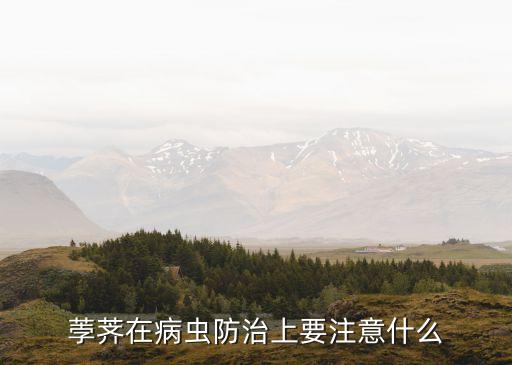 荸薺在病蟲防治上要注意什么