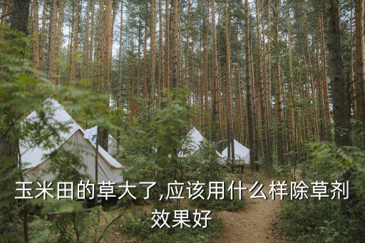 什么農藥能殺死野菜,什么野菜能殺死癌細胞