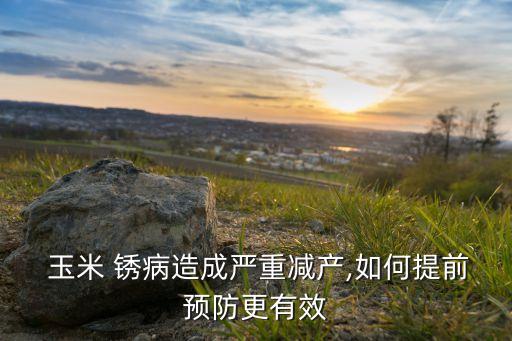 玉米銹病用什么農藥,防治玉米銹病的首選農藥