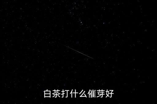 白茶打什么催芽好