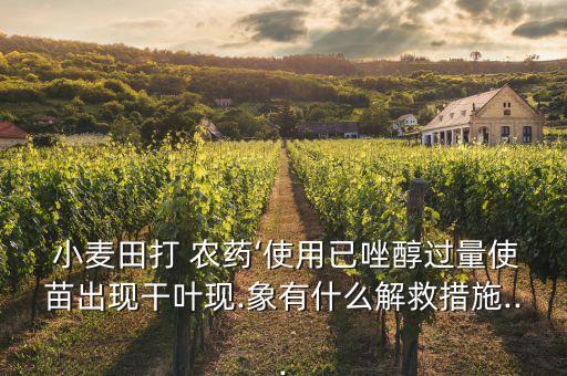 現在小麥打什么農藥,小麥田用什么農藥好使