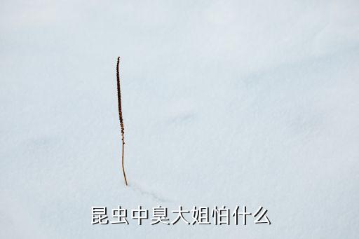 二年級語文有幾個蟲子怕什么,蟲子怕什么農藥