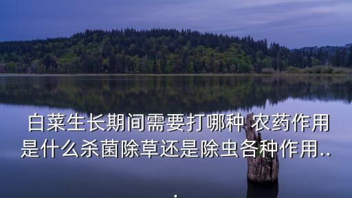 什么農(nóng)藥不能噴白菜葉子,白菜上有蟲用什么農(nóng)藥效果好