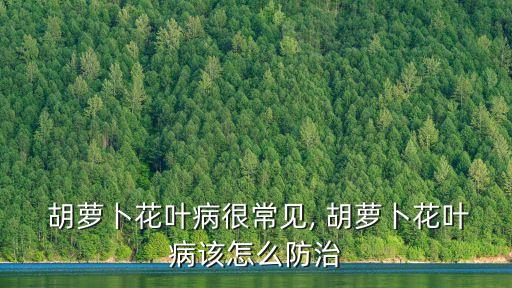 胡蘿卜用什么農藥殺菌