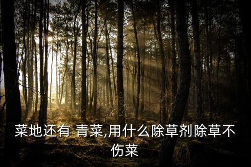 菜地還有 青菜,用什么除草劑除草不傷菜