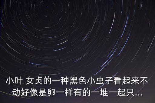 灌木女貞有蟲打什么農藥,女貞灌木