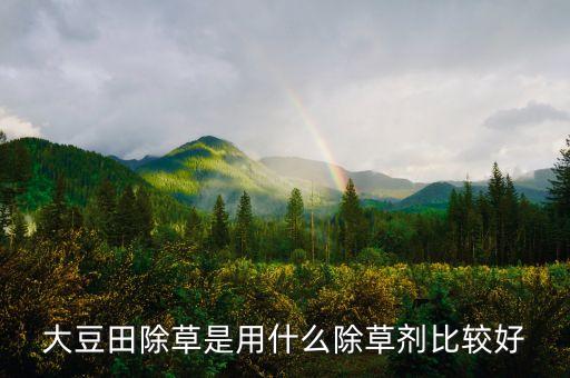 大豆田除草是用什么除草劑比較好