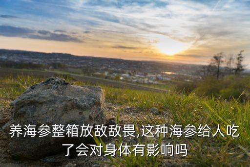 養海參整箱放敵敵畏,這種海參給人吃了會對身體有影響嗎