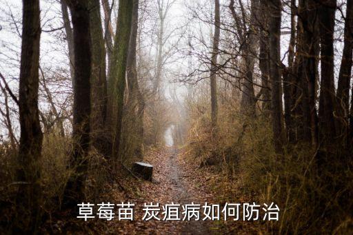 草莓苗 炭疽病如何防治