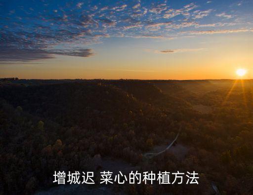 菜心生長太快用什么農藥,菜心喜歡什么生長環境