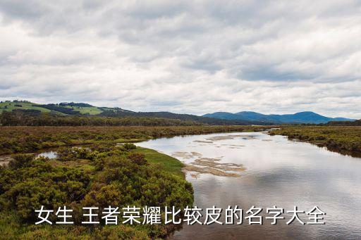 王者農(nóng)藥鬼才是什么,打王者農(nóng)藥是什么意思