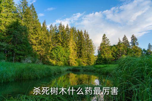 用什么農藥能殺樹,有什么農藥可以把樹毒死