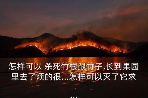 什么農藥能殺死竹根子,用什么農藥可以將樹木殺死