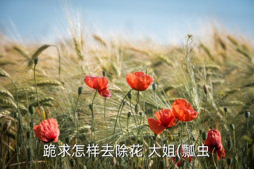 用什么農藥殺死花大姐,什么能殺死花大姐