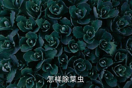 什么農藥能消滅菜蟲病,用什么農藥可以消滅竹子