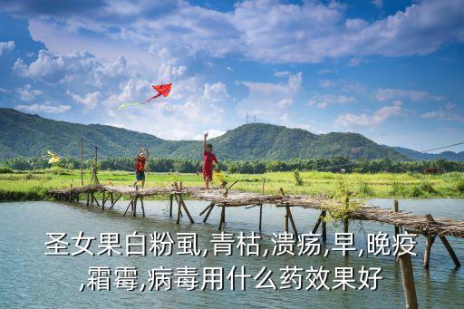 蕃茄用什么農藥除蟲最好