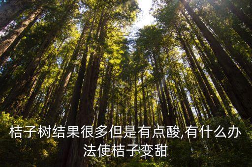 桔子樹結(jié)果很多但是有點酸,有什么辦法使桔子變甜